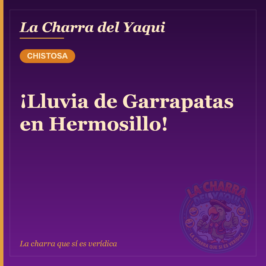 ¡Lluvia de Garrapatas en Hermosillo!