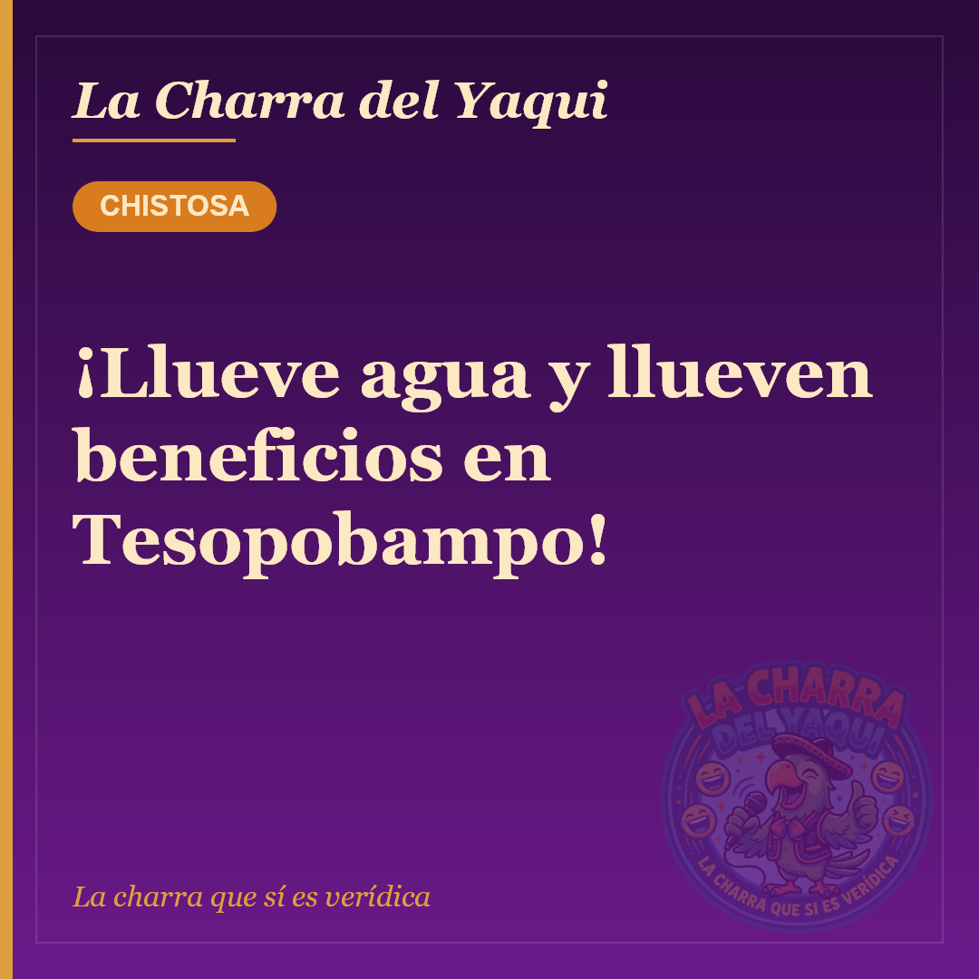 ¡Llueve agua y llueven beneficios en Tesopobampo!