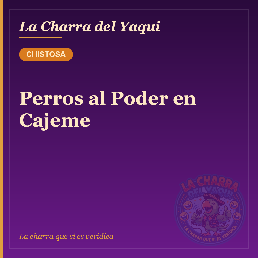 Perros al Poder en Cajeme
