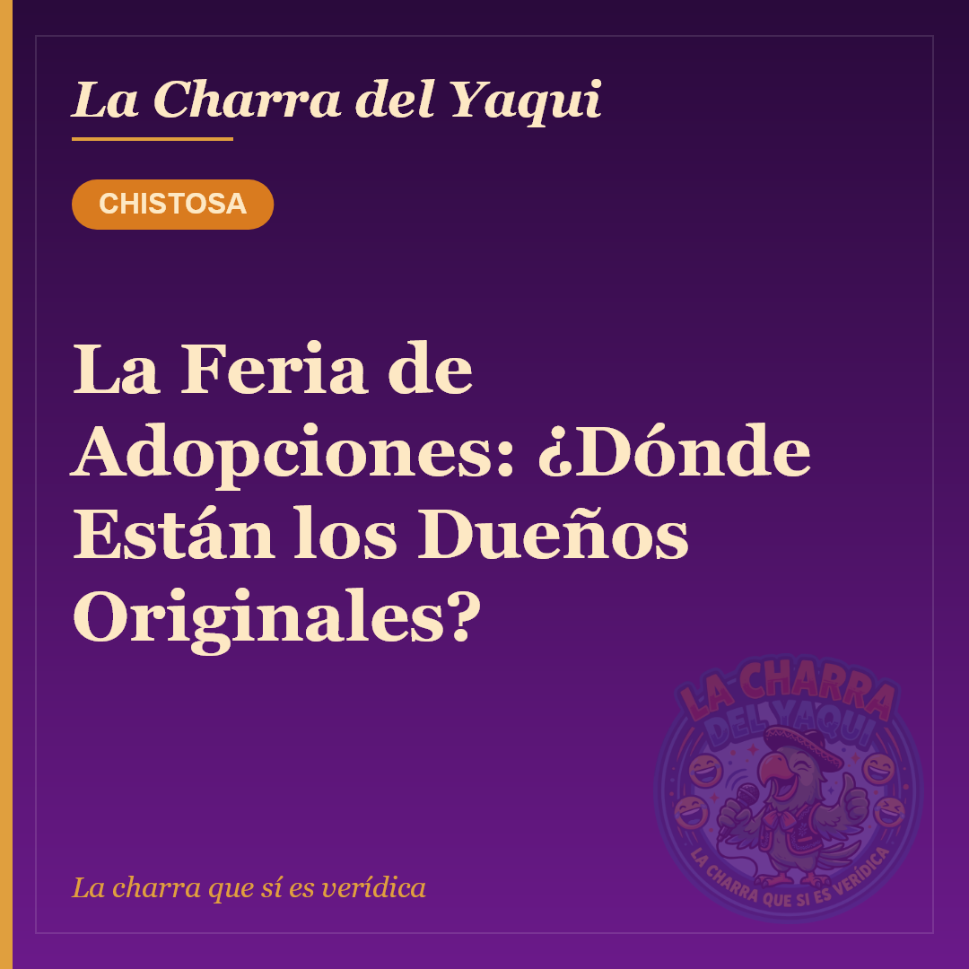 La Feria de Adopciones: ¿Dónde Están los Dueños Originales?